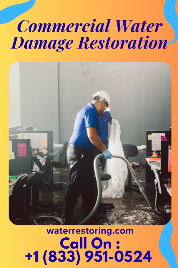 Commercial Water Damage Restoration in Potosi, TX