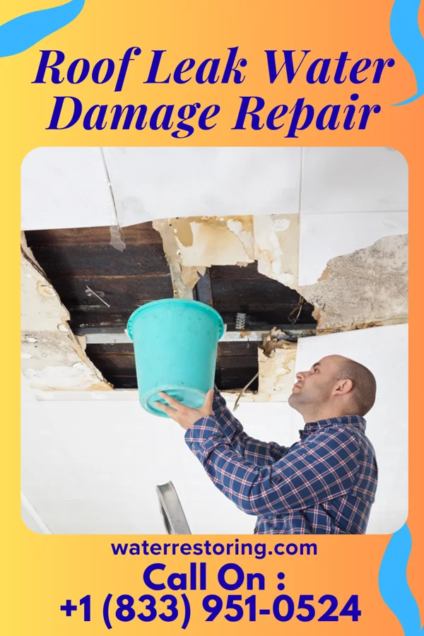 Roof Leak Water Damage Repair in Potosi, TX