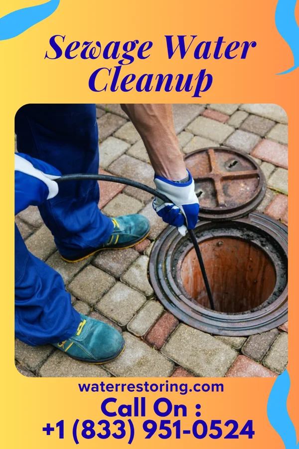 Sewage Water Cleanup in Potosi, TX